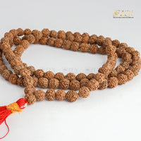 Kashi Vishwanath Rudraksha Mala - view 3
