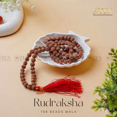 Trimbakeshwar Rudraksha (Godavari Source) - dharmic.store