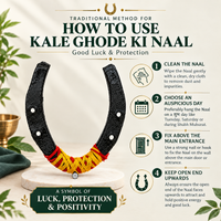 Kale Ghode Ki Naal — Black Iron Horseshoe for Main Door | Shani & Nazar Suraksha