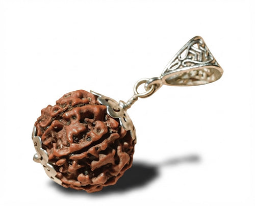 Sapt Dham Siddh 7 Mukhi Rudraksh