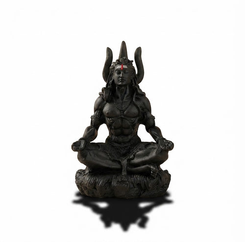 Shiva Rudra Dhyan Sculpture